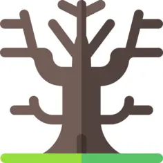 Dry tree
