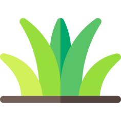 草