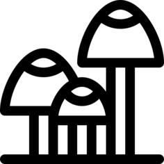 Muscaria