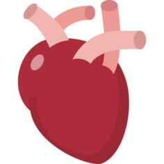 Heart