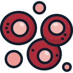 Stem cells