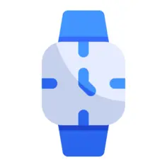 Wrist watch