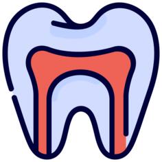 Root canal
