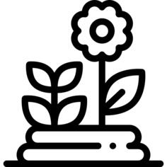 花卉