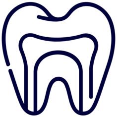 Root canal