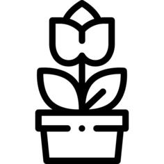 花盆