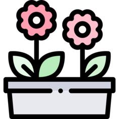花卉