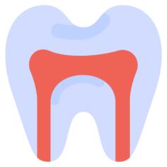 Root canal