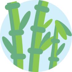 Bamboo