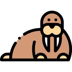 Walrus