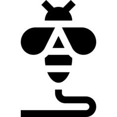 蜜蜂