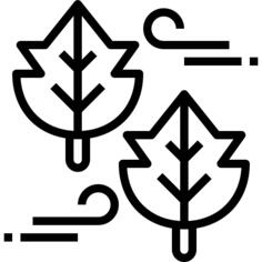 Leaf