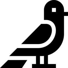 鸟