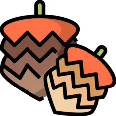 Cone