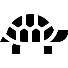 龟