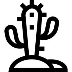 仙人掌