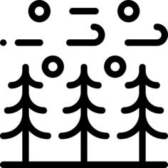 森林