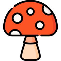 蘑菇