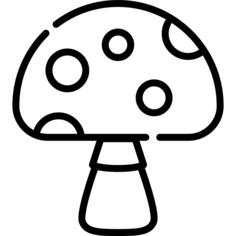 蘑菇