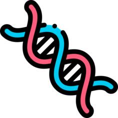 脱氧核糖核酸
