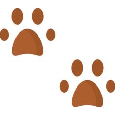Footprint
