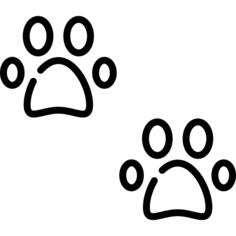 Footprint