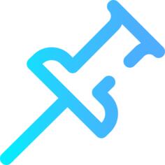 Pin
