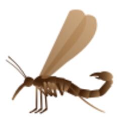 Arthropod