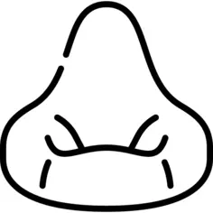 豆袋
