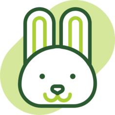 兔子
