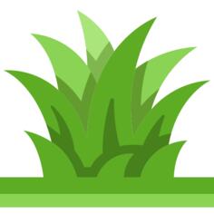 Grass