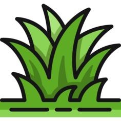 Grass