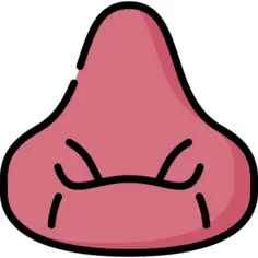 豆袋