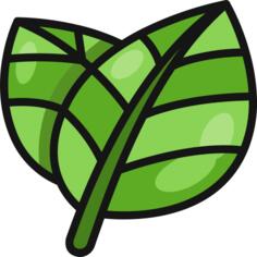 Leaves