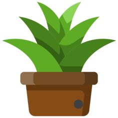 花盆