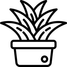 花盆