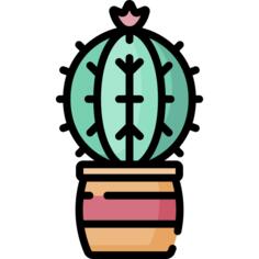 仙人掌