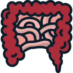 肠