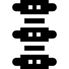 脊柱