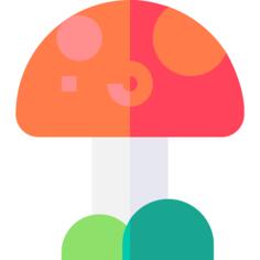 蘑菇