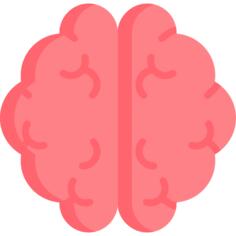 Brain