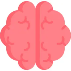 Brain