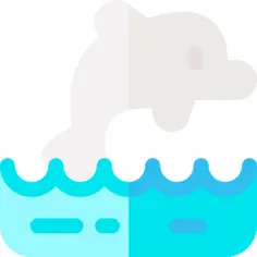Dolphin
