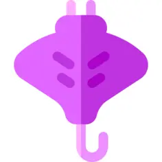 Manta ray