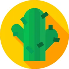 Cactus
