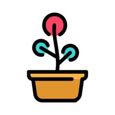 花盆