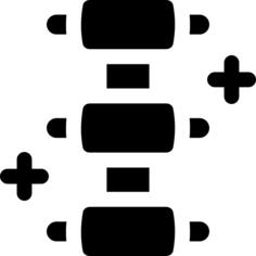 脊柱