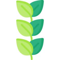 Leaves