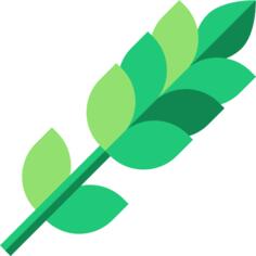 树枝