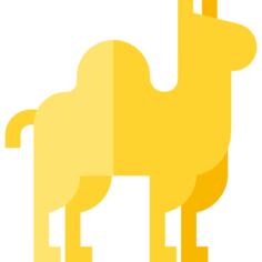 Dromedary
